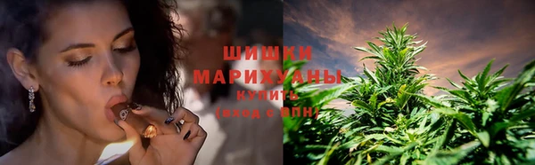 молекула духа Богородицк