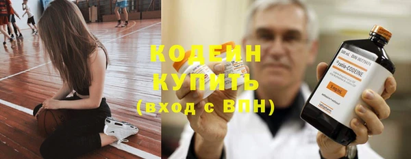 молекула духа Богородицк
