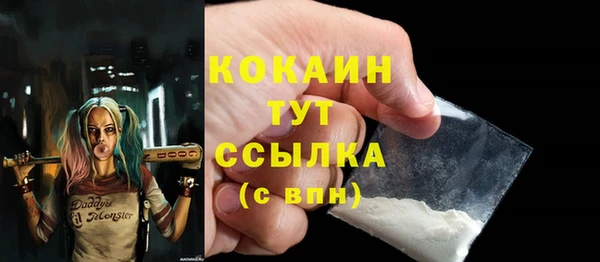 молекула духа Богородицк
