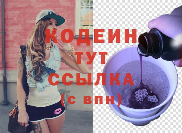 молекула духа Богородицк