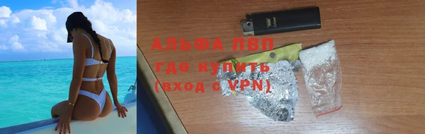 молекула духа Богородицк