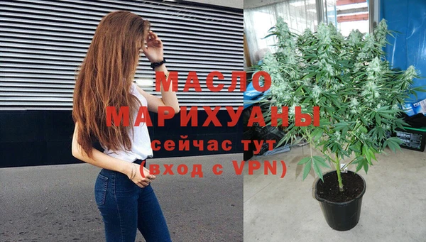 молекула духа Богородицк