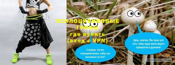соль курить ск Богородск
