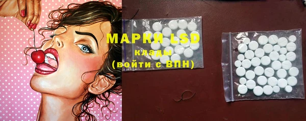 молекула духа Богородицк