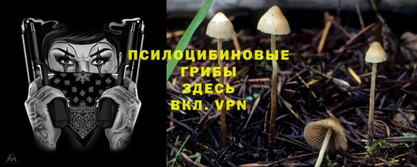 молекула духа Богородицк