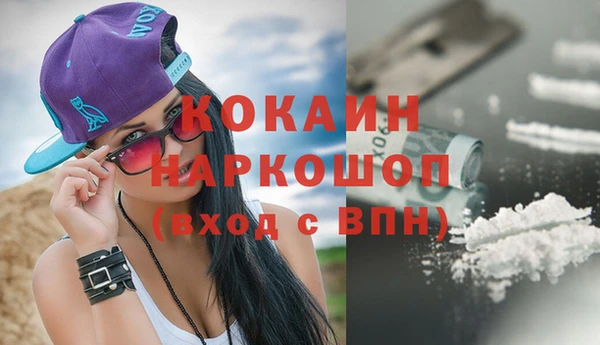 молекула духа Богородицк