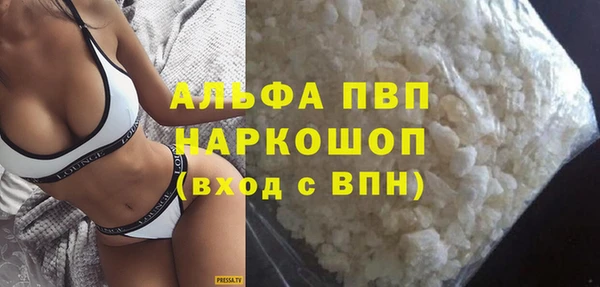 молекула духа Богородицк