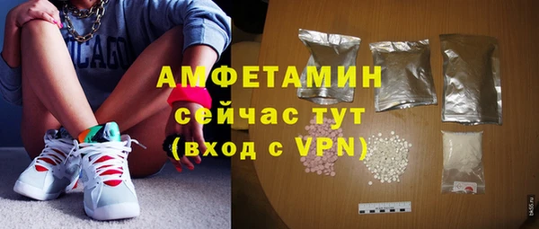 молекула духа Богородицк